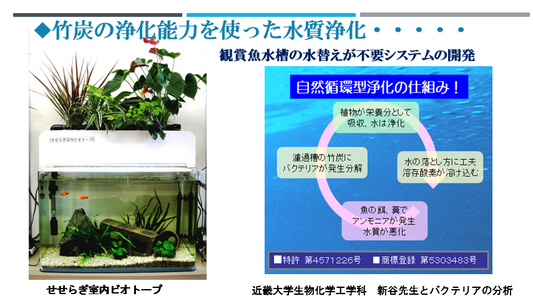 竹炭の浄化能力を使った水質浄化