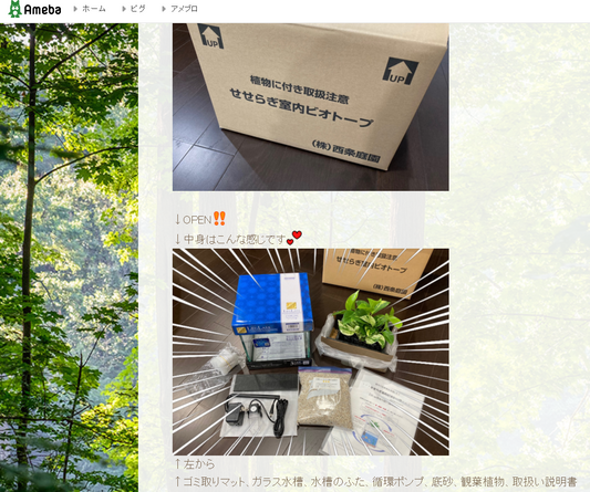 せせらぎビオトープのクチコミ アメブロ「めだかのブログ」