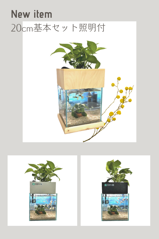 【新商品】20センチの照明付きセット