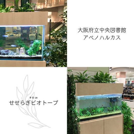 大阪府立中央図書館、あべのハルカスイトーヨーカドーにも設置していただいてます!