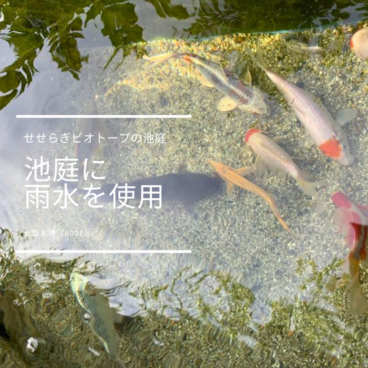 池庭に雨水を使用すると藻が発生しません。
