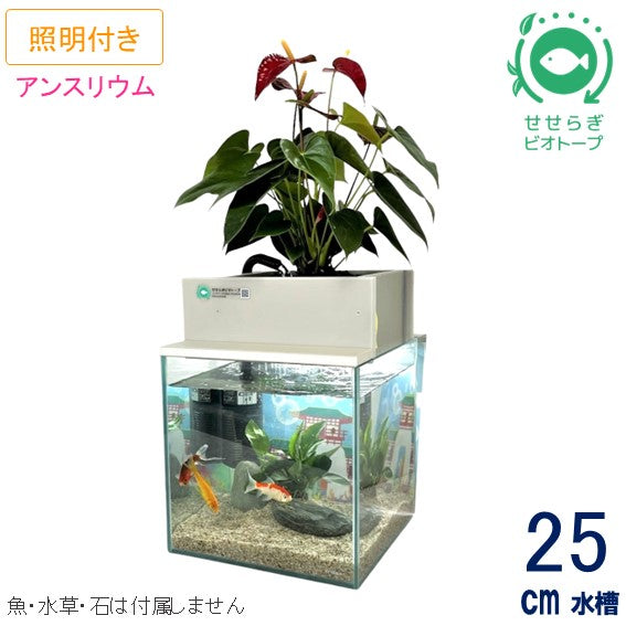 25cm型 せせらぎビオトープ 基本シンプルセット(グレー) 照明あり【送料無料】