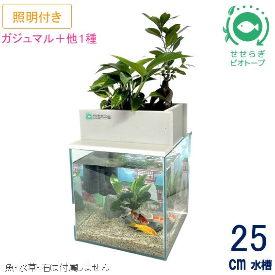 25cm型 せせらぎビオトープ 基本シンプルセット(グレー) 照明あり【送料無料】