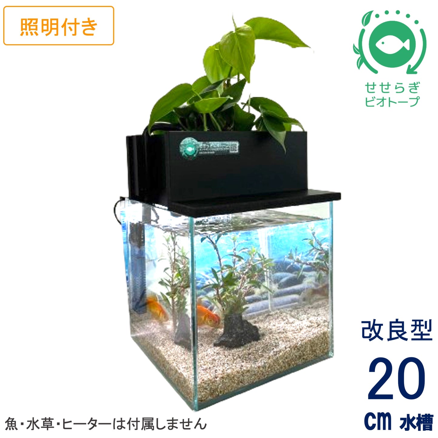 20cm型 せせらぎビオトープ 基本シンプルセット(黒) 照明あり【送料無料】
