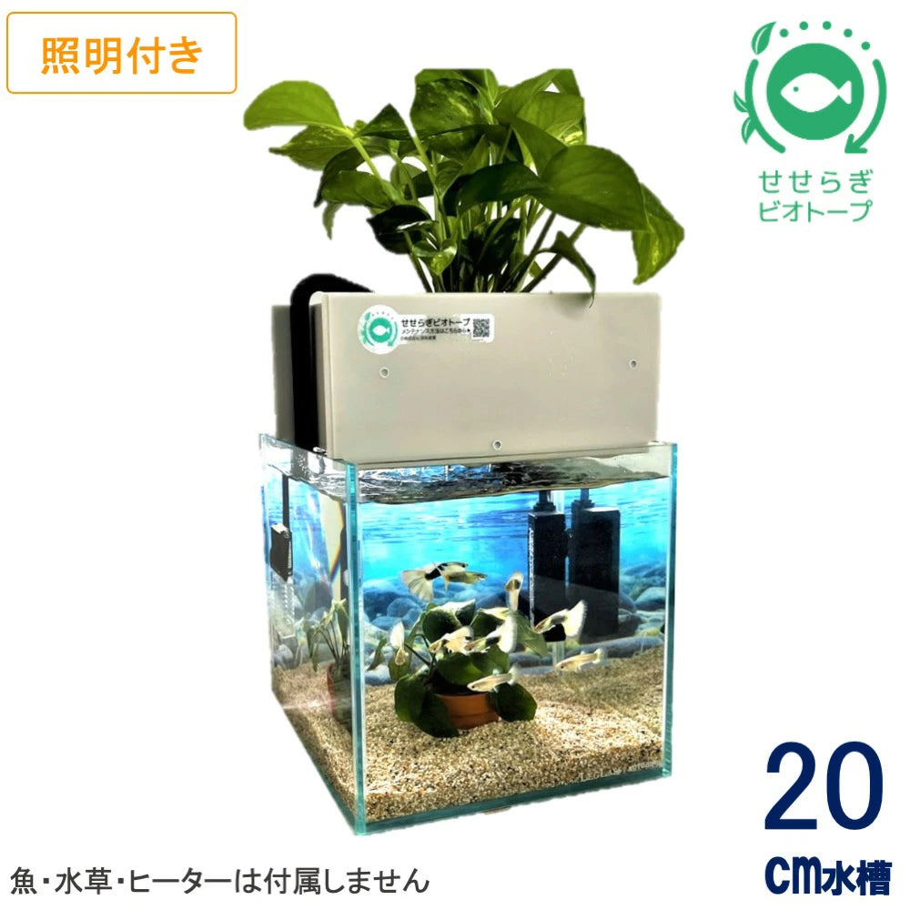 20cm型 せせらぎビオトープ 基本シンプルセット(グレー) 照明あり【送料無料】