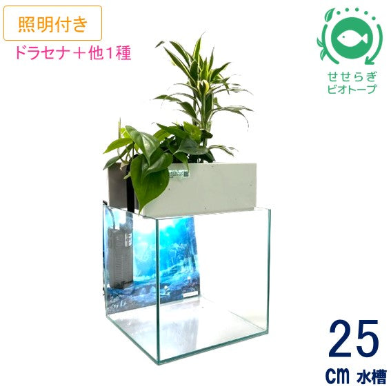 25cm型 せせらぎビオトープ 基本シンプルセット(グレー) 照明あり【送料無料】