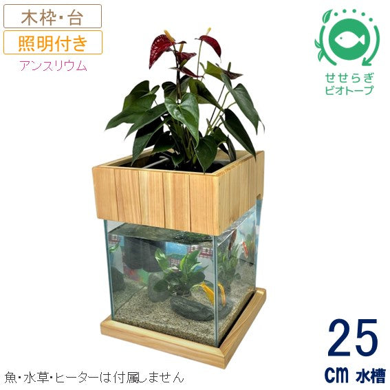 25cm型 せせらぎビオトープ 基本+木枠・台セット 照明あり【送料無料】