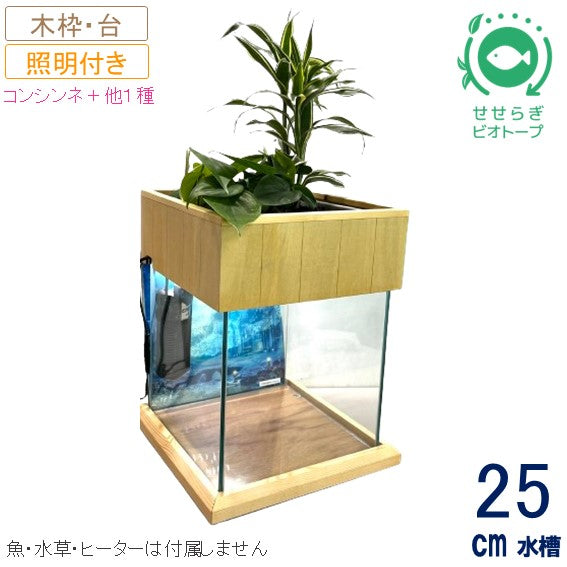 25cm型 せせらぎビオトープ 基本+木枠・台セット 照明あり【送料無料】