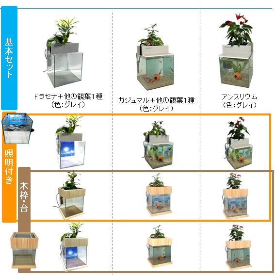 30cm型 せせらぎビオトープ 基本+木枠・台セット 照明なし【送料無料】