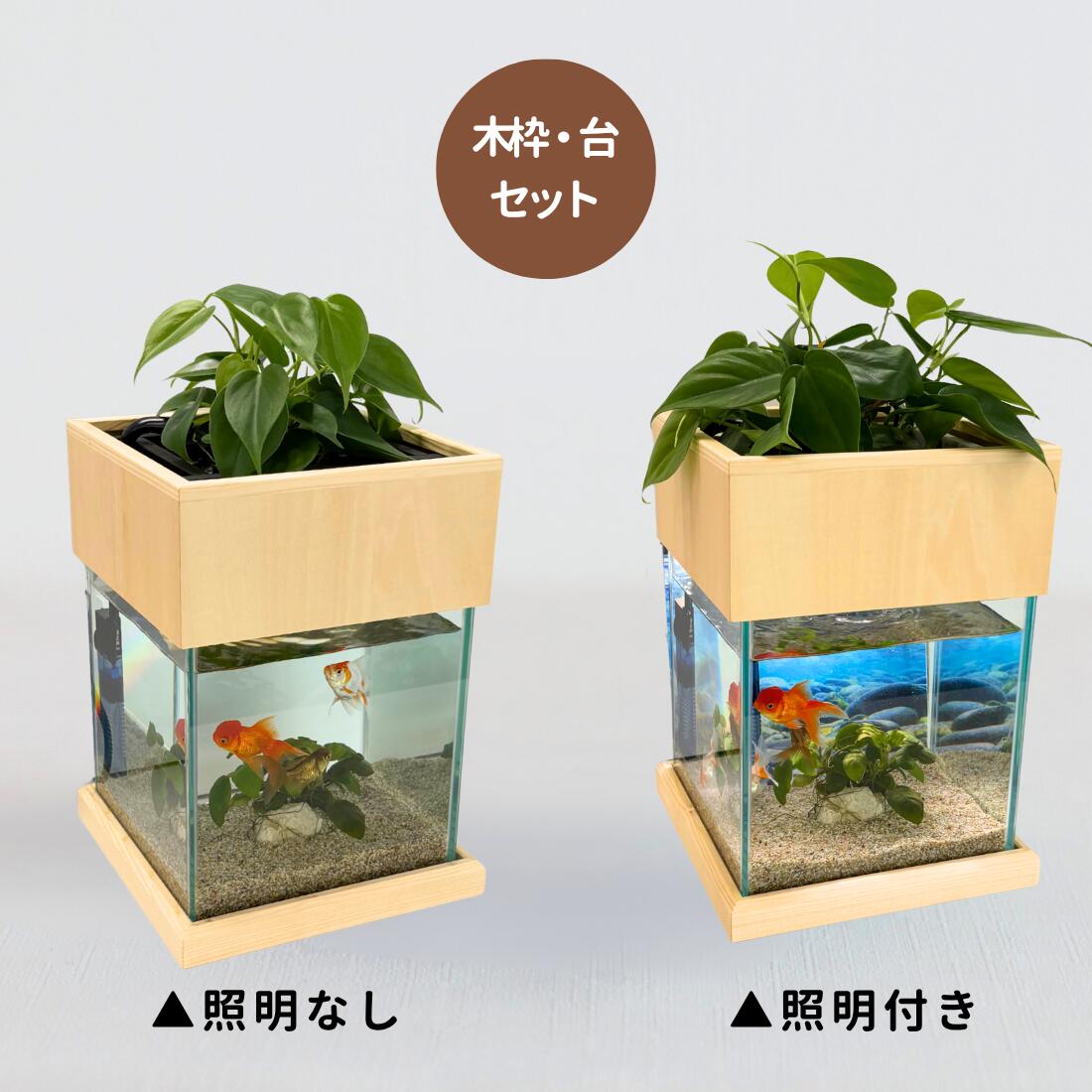 20cm型 せせらぎビオトープ 基本+木枠セット 照明なし【送料無料】