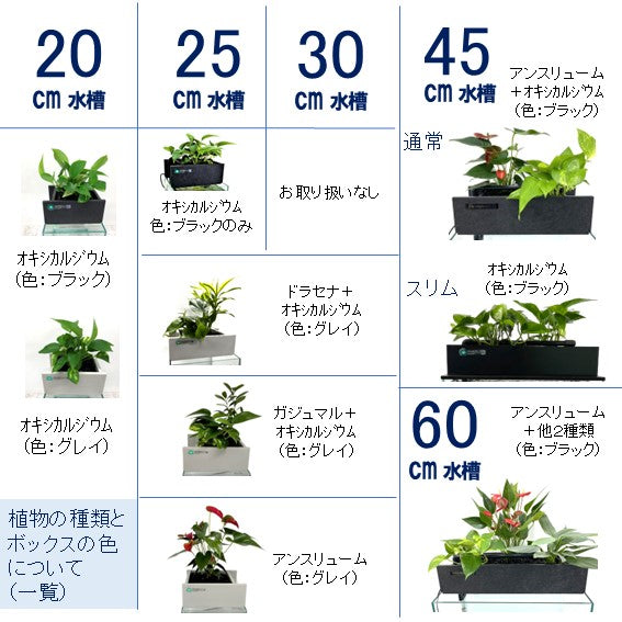 ろ過装置+循環ポンプ+配管セット 60cm型【送料無料】