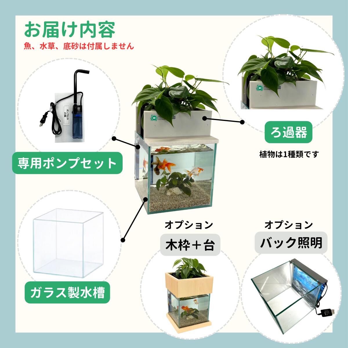 20cm型 せせらぎビオトープ 基本+木枠セット 照明なし【送料無料】