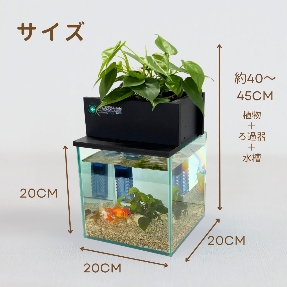 20cm型 せせらぎビオトープ 基本シンプルセット(黒) 照明なし【送料無料】