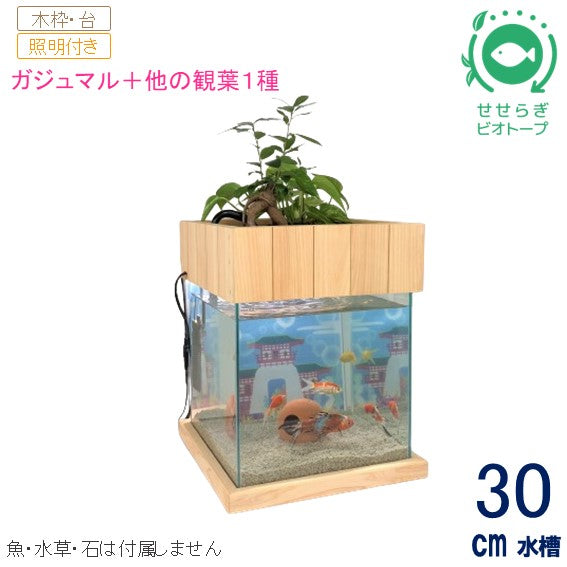 30cm型 せせらぎビオトープ 基本+木枠・台セット+照明あり【送料無料】