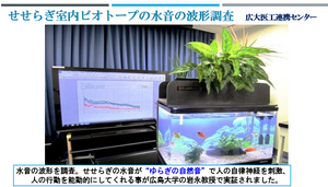 せせらぎ室内ビオトープの水音の波形調査