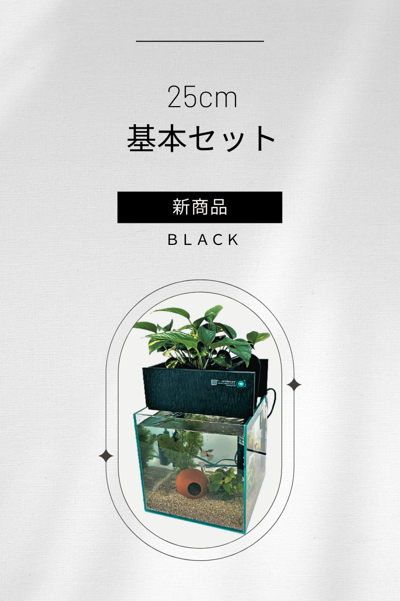 25cm基本セット【黒】が新発売！