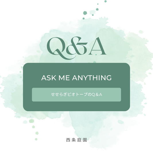 Q＆A