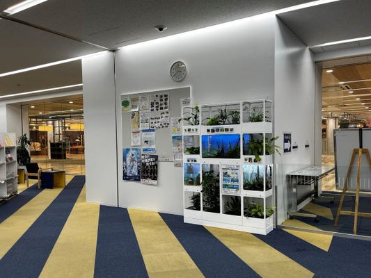 【岡山県玉野市図書館】大型のせせらぎビオトープ