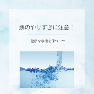 餌のやりすぎに注意！ 健康な水槽を保つコツ