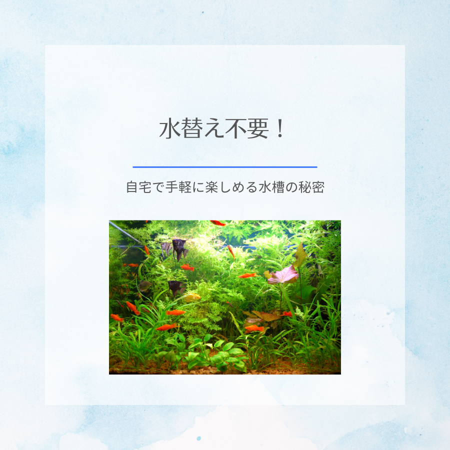 水替え不要！自宅で手軽に楽しめる水槽の秘密