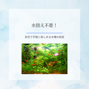水替え不要！自宅で手軽に楽しめる水槽の秘密