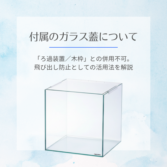 「水槽セット付属ガラス蓋の使い方｜正しい設置方法と注意点