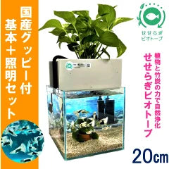 【新商品】廣島蝶鮫様コラボ。国産グッピー付の基本水槽セットが新発売！
