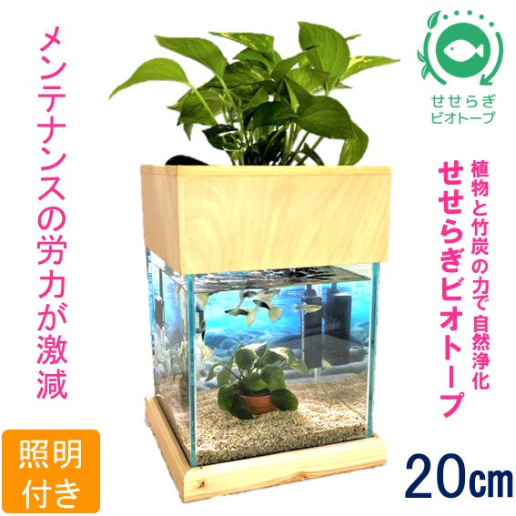 20cm型　せせらぎビオトープ　基本＋木枠セット　照明あり【送料無料】