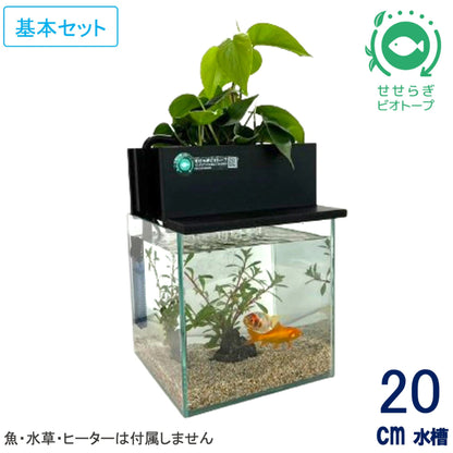 20cm型　せせらぎビオトープ　基本シンプルセット(黒)　照明なし【送料無料】