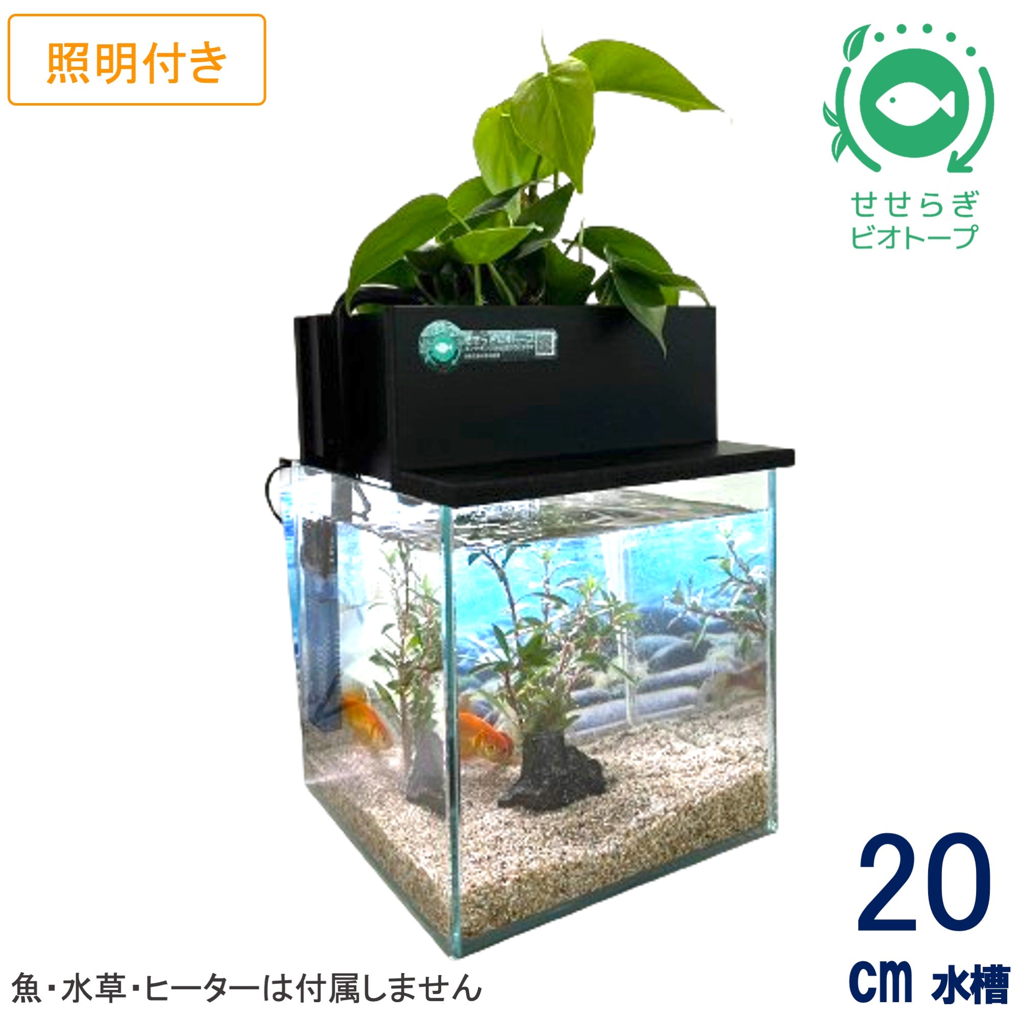 せせらぎビオトープ　20cm型 20cm型 せせらぎビオトープ 基本シンプルセット(黒) 照明あり【送料