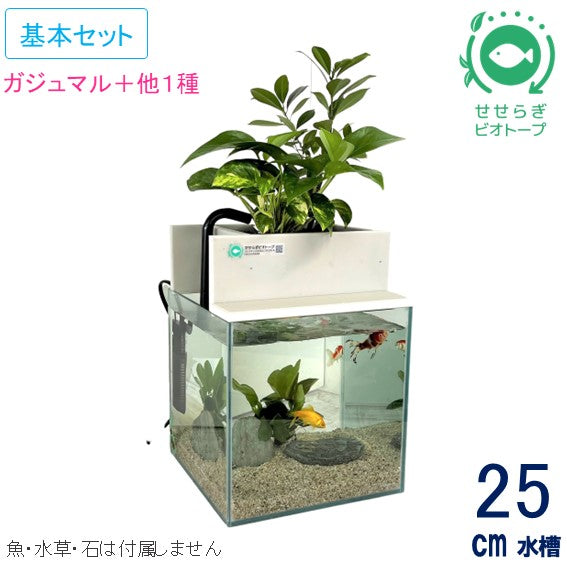 25cm型　せせらぎビオトープ　基本シンプルセット(グレー)　照明なし【送料無料】