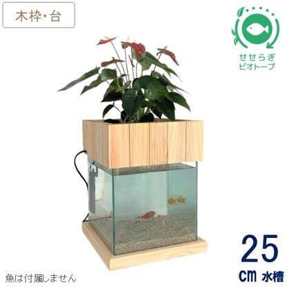 25cm型　せせらぎビオトープ　基本＋木枠・台セット　照明なし【送料無料】