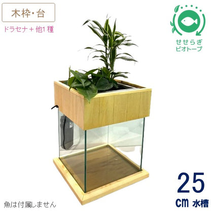 25cm型　せせらぎビオトープ　基本＋木枠・台セット　照明なし【送料無料】