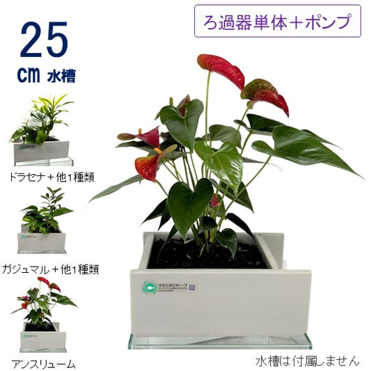 25cm型 ろ過装置[単品]【送料無料】