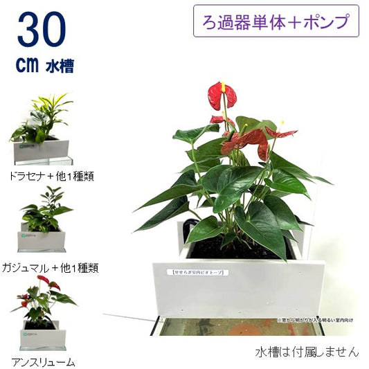 30cm型 ろ過装置[単品]【送料無料】