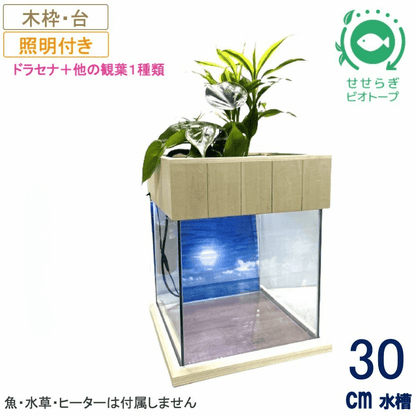 30cm型　せせらぎビオトープ　基本＋木枠・台セット＋照明あり【送料無料】