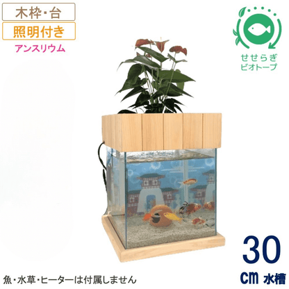 30cm型　せせらぎビオトープ　基本＋木枠・台セット＋照明あり【送料無料】