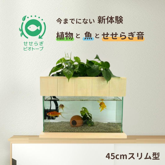 45cmスリム型せせらぎビオトープ水槽セット（木枠・台）約17L 照明なし 【送料無料】
