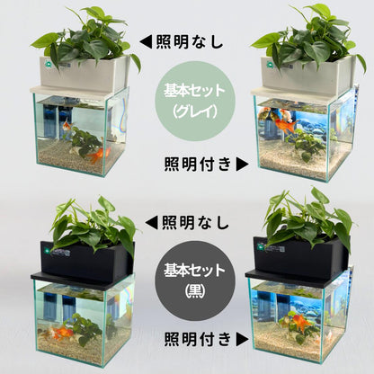 20cm型　せせらぎビオトープ　基本シンプルセット(黒)　照明あり【送料無料】