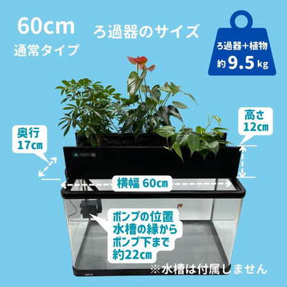 ろ過装置+循環ポンプ+配管セット 60cm型【送料無料】