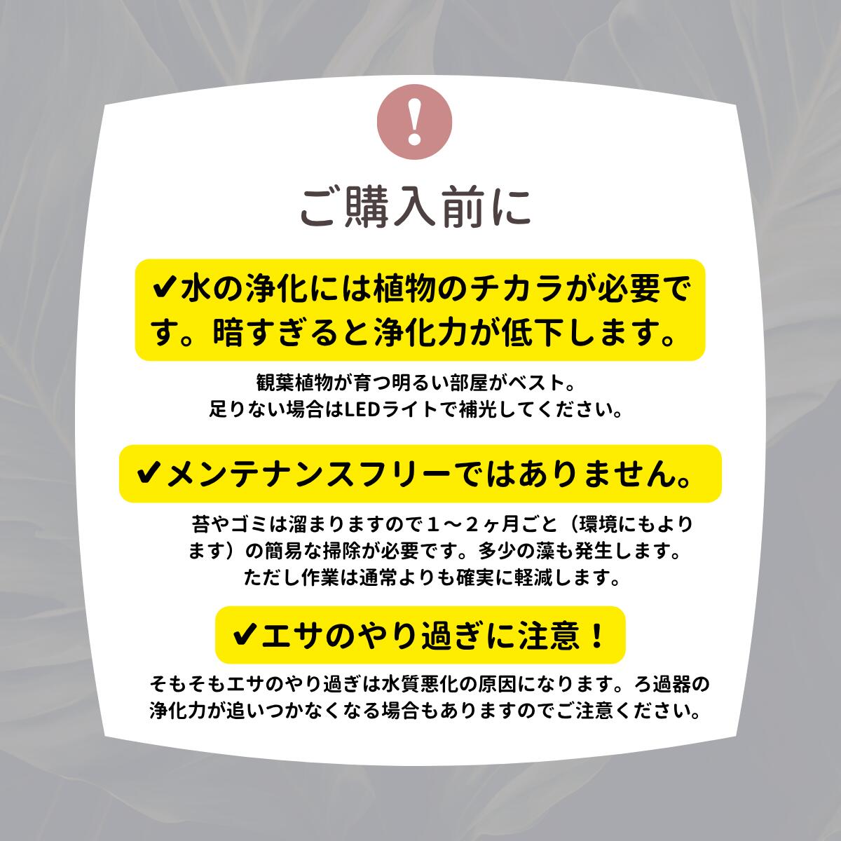 25cm型　せせらぎビオトープ　基本＋木枠・台セット　照明なし【送料無料】
