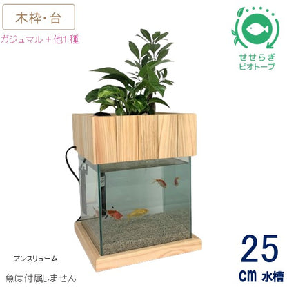 25cm型　せせらぎビオトープ　基本＋木枠・台セット　照明なし【送料無料】