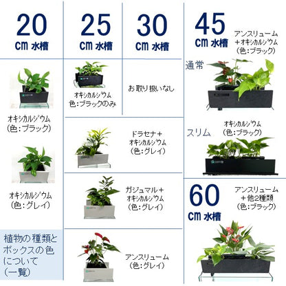 25cm型 ろ過装置[単品]【送料無料】