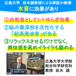 画像をギャラリービューアに読み込む, 30cm型　せせらぎビオトープ　基本＋木枠・台セット【送料無料】
