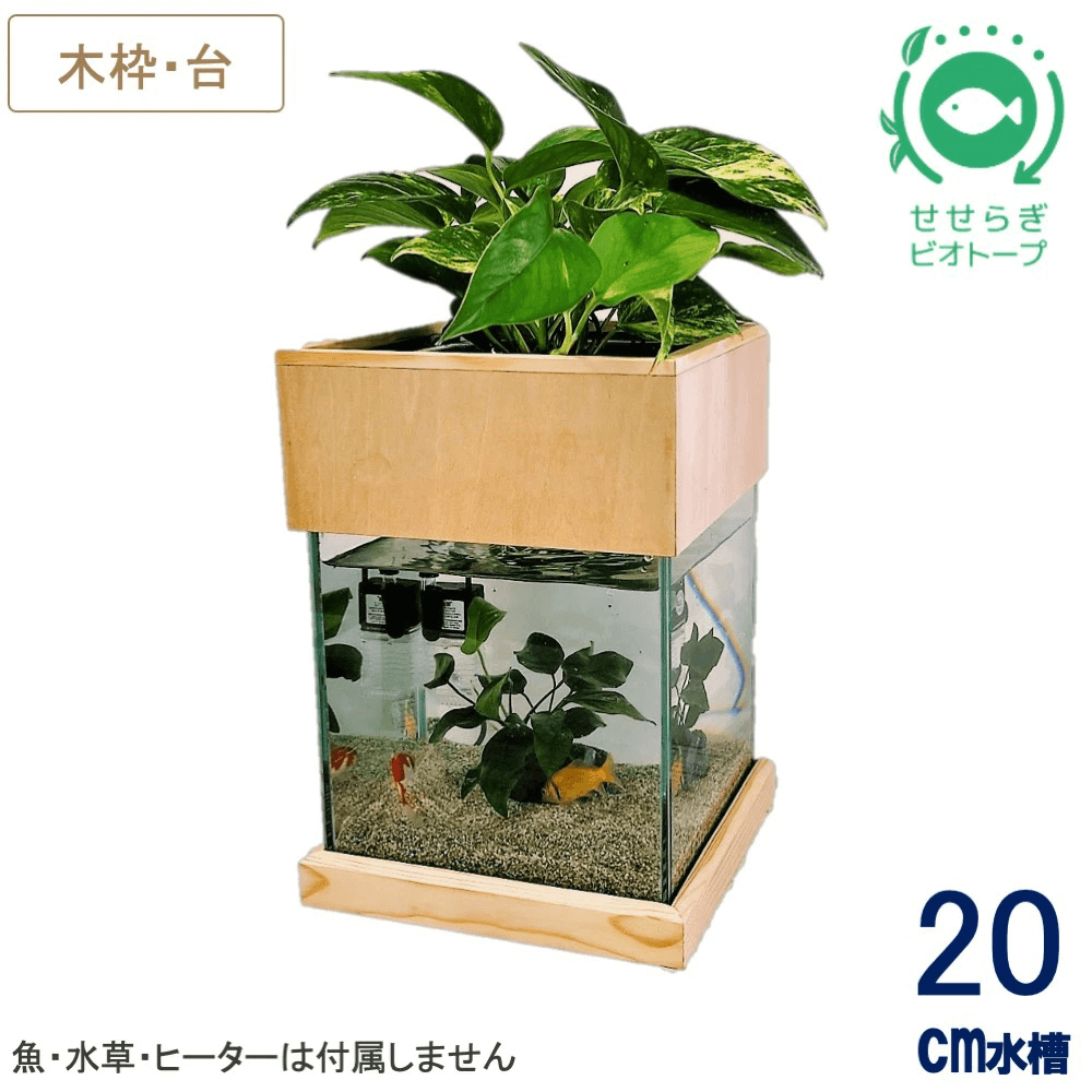 20cm型　せせらぎビオトープ　基本＋木枠セット　照明なし【送料無料】