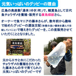 画像をギャラリービューアに読み込む, 【4月～10月の季節限定商品】20cm型　せせらぎビオトープ　基本＋国産グッピー＋ヒーター付セット（グレー・黒）【送料無料】
