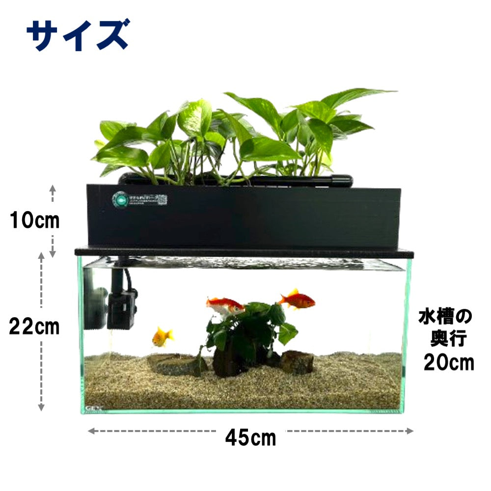45cmスリム型せせらぎビオトープ水槽セット（黒）約17L 照明なし 【送料無料】