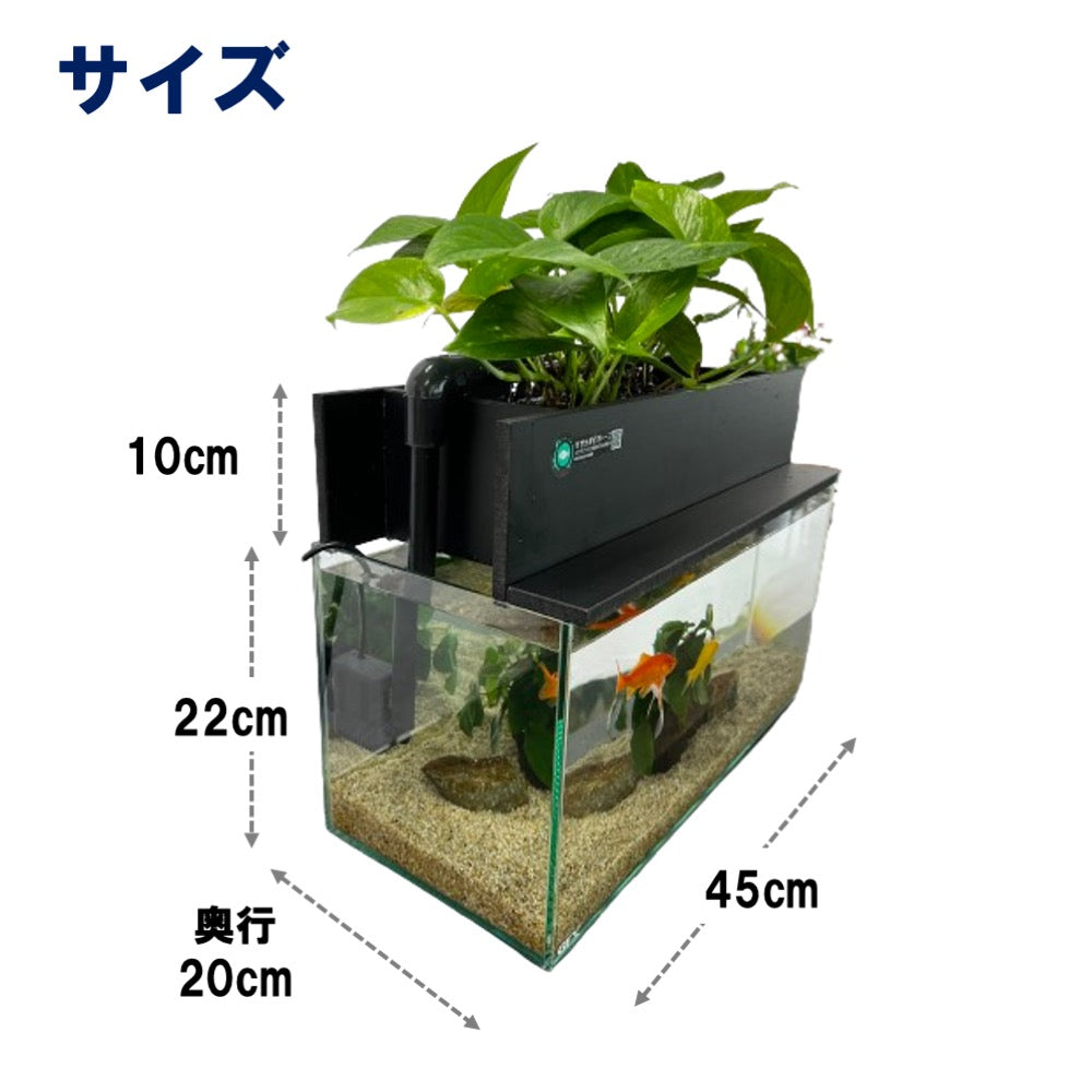 45cmスリム型せせらぎビオトープ水槽セット（黒）約17L 照明なし 【送料無料】