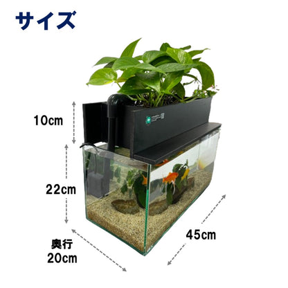 45cmスリム型せせらぎビオトープ水槽セット（黒）約17L 照明なし 【送料無料】