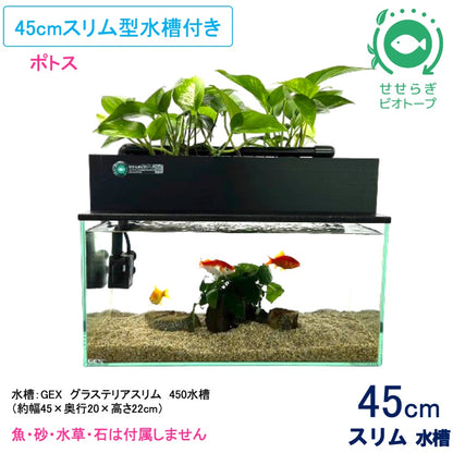 45cmスリム型せせらぎビオトープ水槽セット（黒）約17L 照明なし 【送料無料】